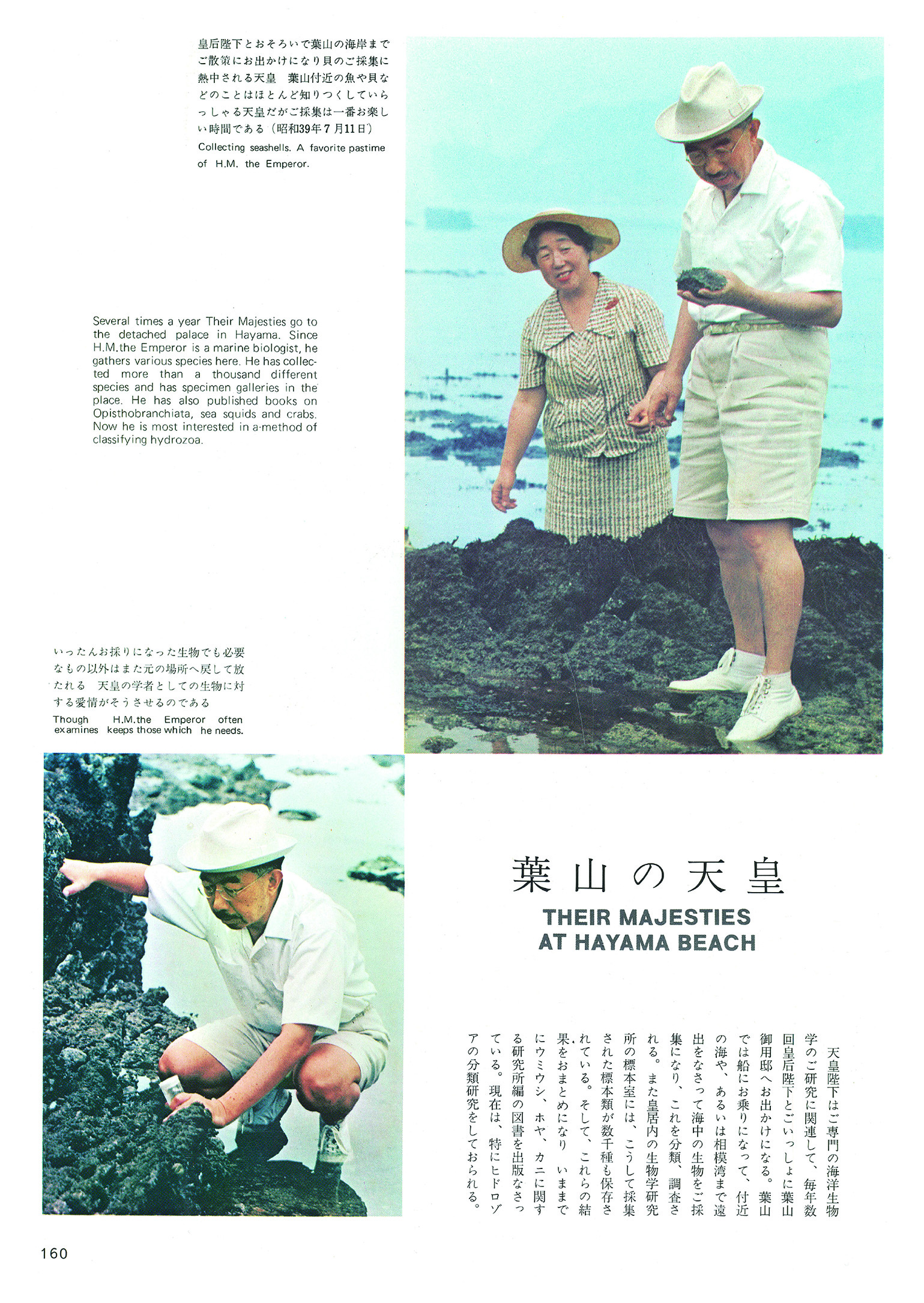 書籍の画像