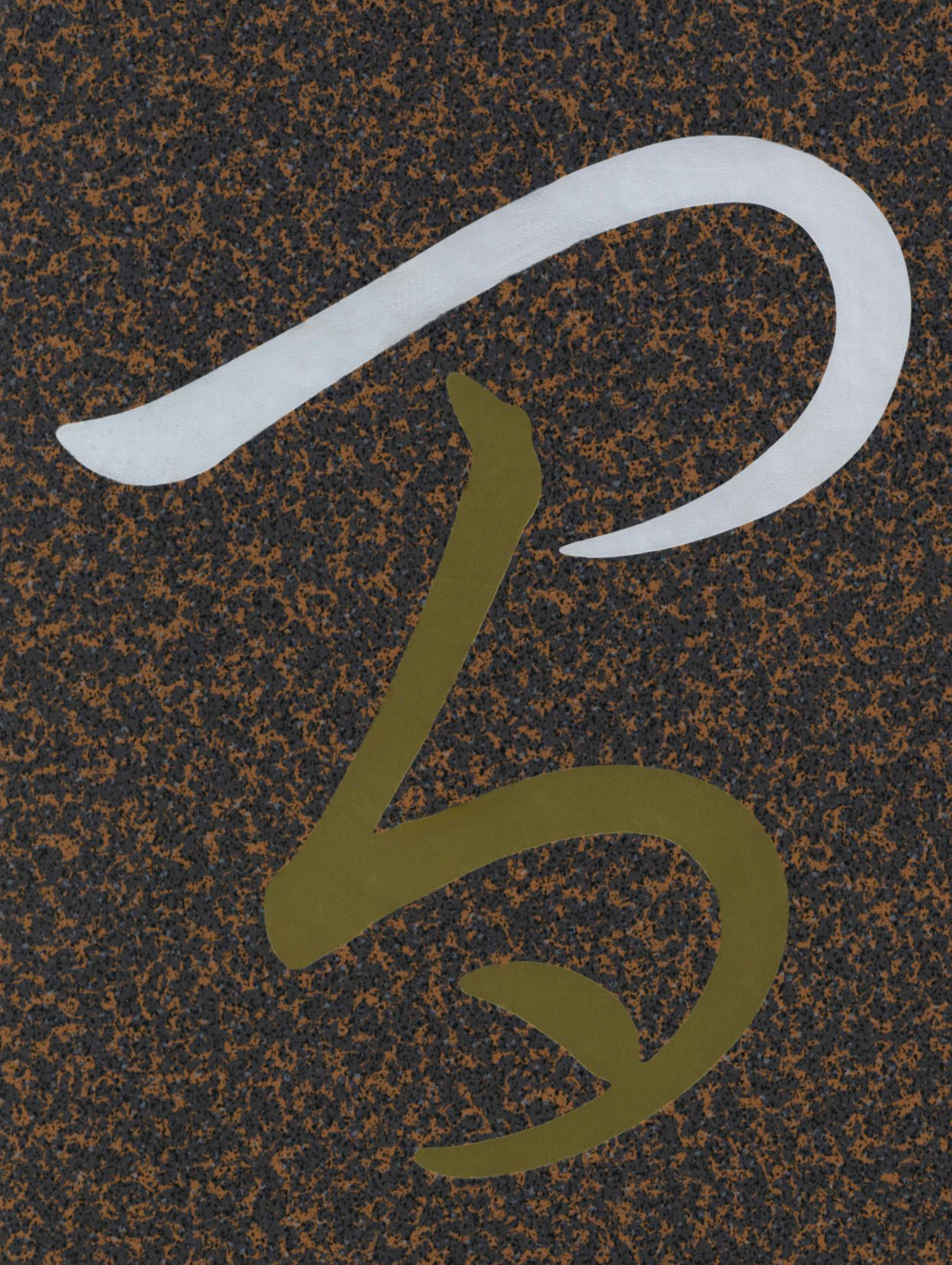 書籍の画像